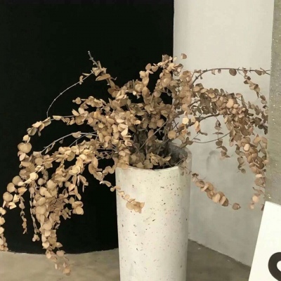 兽设洞穴场景设计兽圈群